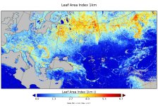 LAI in c_gls_LAI_201808130000_GLOBE_PRO.jpg