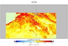 LAI12M in geo_em.d02_new.jpg