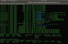 wrf.exe run info.JPG