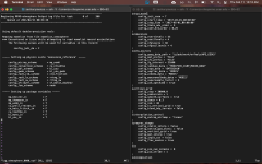 Screen Shot 2021-02-11 at 10.10.06 AM.png